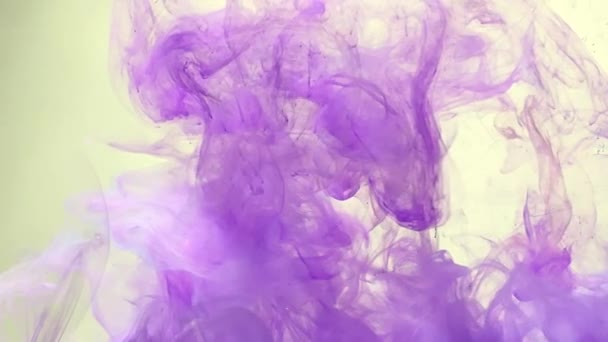 Humo Púrpura Fondo Lila Abstracto Fondo Elegante Tinta Acuarela Violeta — Vídeos de Stock