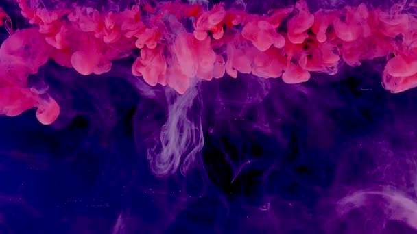 紫罗兰抽象背景 时尚的现代背景 酷的趋势屏幕保护程序 黑色底色上的水彩油墨 — 图库视频影像