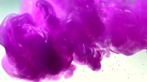 粉红现代抽象的背景 粉色水彩墨水在水里 白色背景上强烈的油漆爆炸 凉爽的趋势屏幕保护程序 — 图库视频影像
