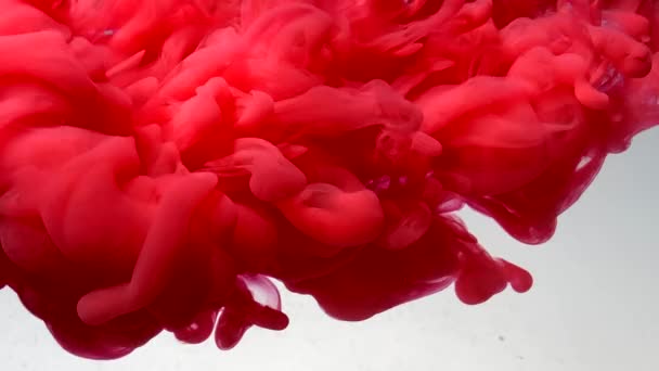 红色时尚的现代抽象背景 红色水彩墨水在水里 白色背景上强烈的油漆爆炸 凉爽的趋势屏幕保护程序 — 图库视频影像