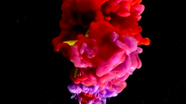 背景奇妙的慢动作金星 2月23日父国日男子假日守护者的概念 黑色底色上的红色和紫色水彩油墨 — 图库视频影像