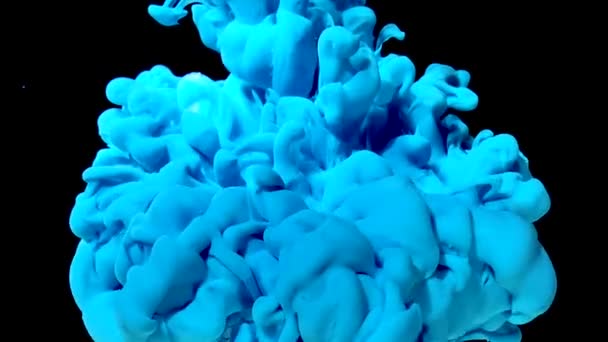 Zeitlupenvideo Einer Schönen Gänseblümchenblume Und Blauer Aquarelltinte Wasser Auf Schwarzem — Stockvideo