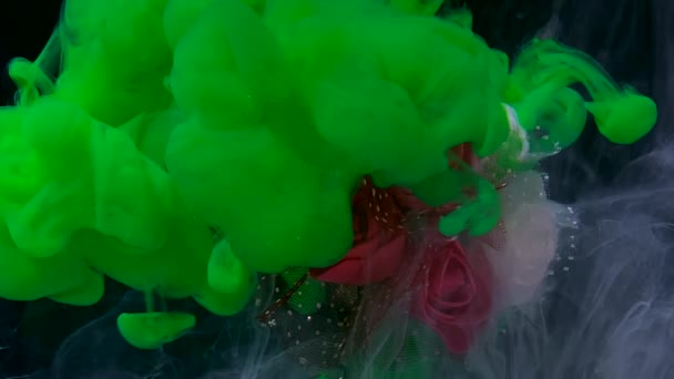 Bellissimo Bouquet Sposa Rose Rosse Bianche Inchiostro Verde Acquerello Acqua — Video Stock