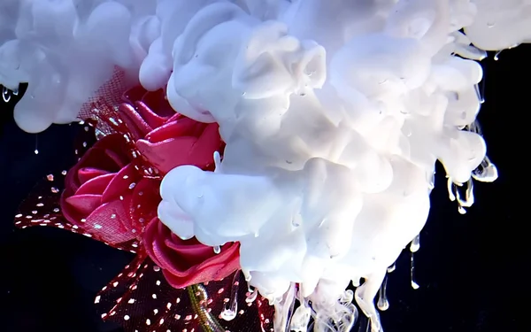 Vacker bröllopsbukett av röda rosor och vitt bläck i vatten på — Stockfoto