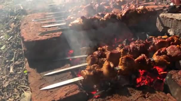 Cooking Meat Skewers Fire Kebabs Meat Pork Beef Chicken Guy — Stock Video