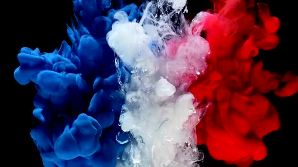 France Flag Made Colored Ink Black Background Stylish Abstract Modern — Stock Video