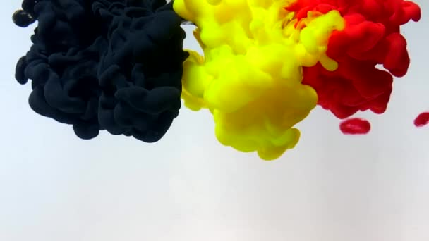Belçika Bayrağı Beyaz Arka Planda Renkli Mürekkepten Yapılmış Suda Siyah — Stok video