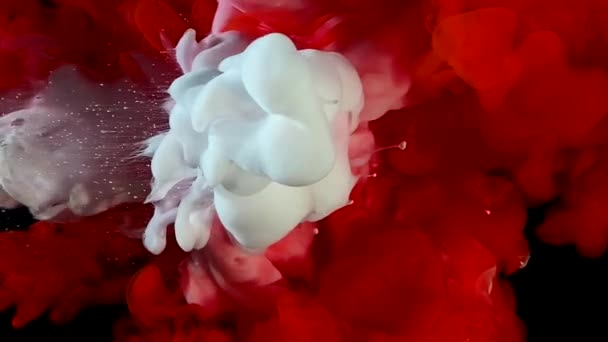 Czerwono Biały Tusz Akwarelowy Wodzie Czarnym Tle Kosmiczne Magiczne Tło — Wideo stockowe
