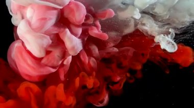 Polonya bayrağı siyah arka planda renkli mürekkepten yapılmış. Suda beyaz ve kırmızı suluboya mürekkep. Soyut arkaplan. Renklerin güçlü bir patlaması. Moda trend ekran koruyucusu.