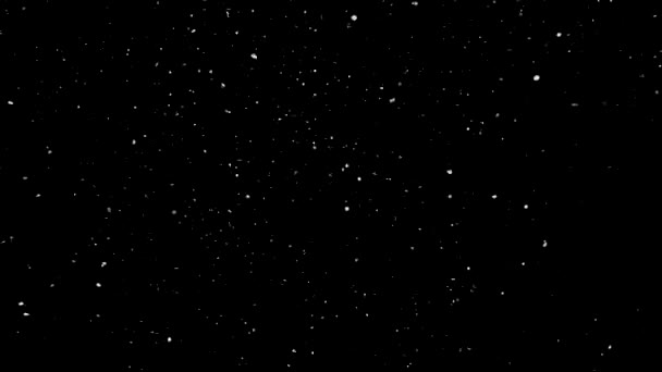Silberkonfetti Abstrakter Hintergrund Mit Silbrig Glänzendem Funkeln Silberstaubpartikel Funkeln Fliegende — Stockvideo