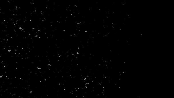 Des confettis argentés. Fond abstrait avec des étincelles scintillantes brillantes argentées. Des particules de poussière d'argent scintillent. Particules volantes et scintillantes de lumière .