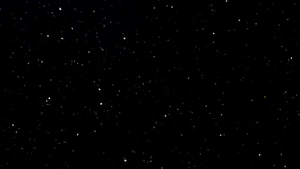 Schneefall Hintergrund Weißer Schnee Auf Schwarzem Himmel Winterhintergrund Weihnachtshintergrundkonzept Große — Stockvideo