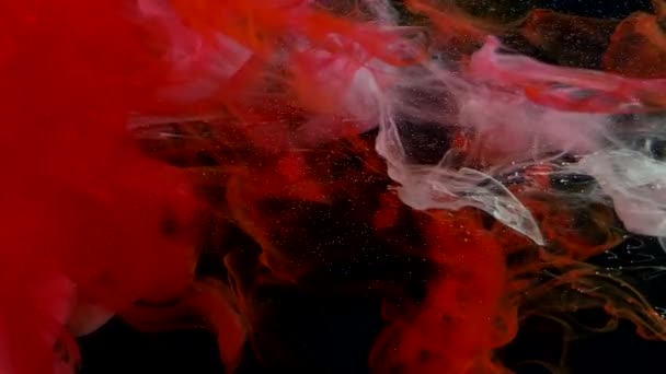 Κόκκινο Και Άσπρο Μελάνι Υδατογραφίας Νερό Μαύρο Φόντο Αφηρημένο Διαστημικό — Αρχείο Βίντεο