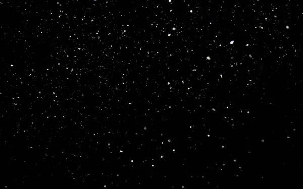 Snowfall background. White snow on a black sky. Winter background. Christmas background concept. Large flakes of snow slowly fall down.
