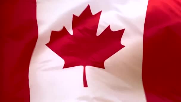 Bandeira Canadá Acenando Vento Bandeira Canadense Fechar — Vídeo de Stock