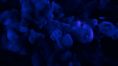 Siyah arka planda suda mavi suluboya mürekkep. Harika bir alan arkaplanı. Mavi soyut arka plan. Havalı trend ekran koruyucu.