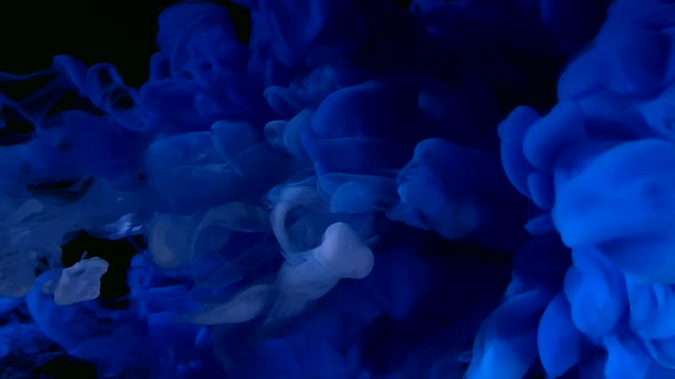 Blauwe Witte Aquarelinkt Water Een Zwarte Achtergrond Zeespiegel Magische Achtergrond — Stockvideo