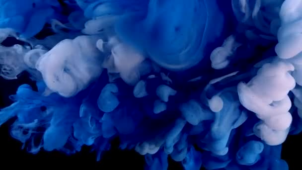 Blue White Watercolor Ink Water Black Background Sea Space Magic — Stock Video