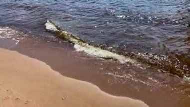 Küçük dalgaların ıslak kumun üzerinde aktığı güzel mavi bir deniz. Doğa yazı okyanus arka planı.