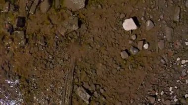 Nehrin dibindeki kayanın havadan görünüşü. Güneşli bir günde, nehrin üzerinde İHA uçuşu.