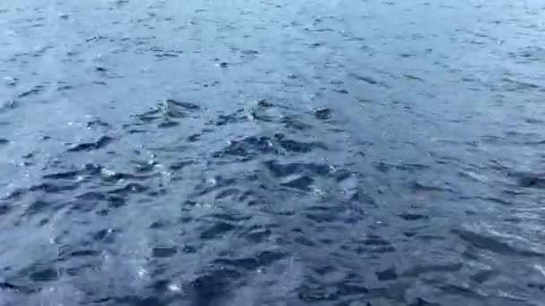 Piękne Błękitne Morze Małymi Falami Koncepcja Środowiska Morskiego — Wideo stockowe