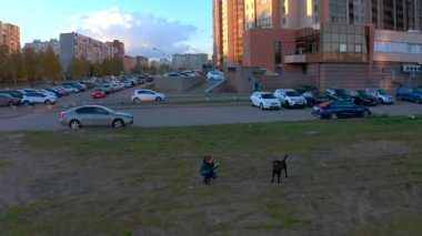PETERSBURG, RUSSIA - 13 Mayıs 2020: bir kız akıllı telefonda köpeğinin fotoğrafını çeker. Gün batımında İHA uçuşu.