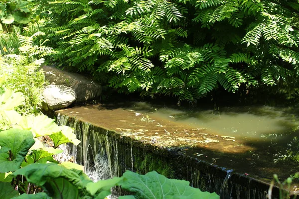 Şelale Sofiyivsky Park içinde. Botanik bahçe botanik bahçesi içinde Uman, Cherkasy Oblast, Ukraine