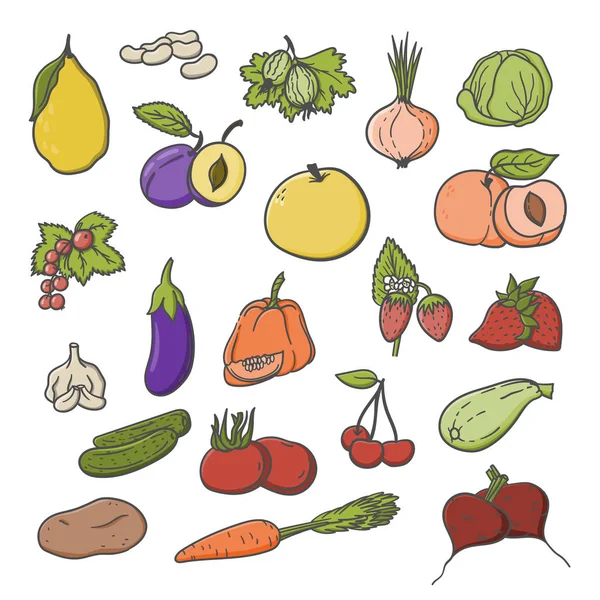 Groenten, fruit en bessen met de hand getekend cartoon doodles illustratie voor poster, banner, reclame etc. — Stockvector
