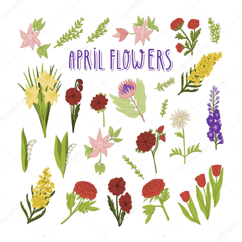 April flowers hand drawn doodles cartoon illustration of daffodil, king protea, mimosa, peony, tulips, anemone, delphinium etc.