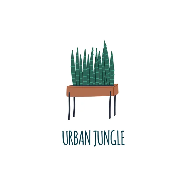 Krukfat står för urban djungel modern loft inredning. Handritad tecknad platt vektor illustration för t-shirt tryck, logotyp, banner, flyer etc.. — Stock vektor