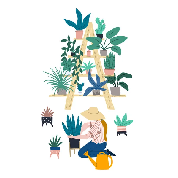 La mujer es jardinera en casa. Urbano de la selva apartamento decoración elementos interiores. Estante de escalera con plantas en macetas . — Vector de stock