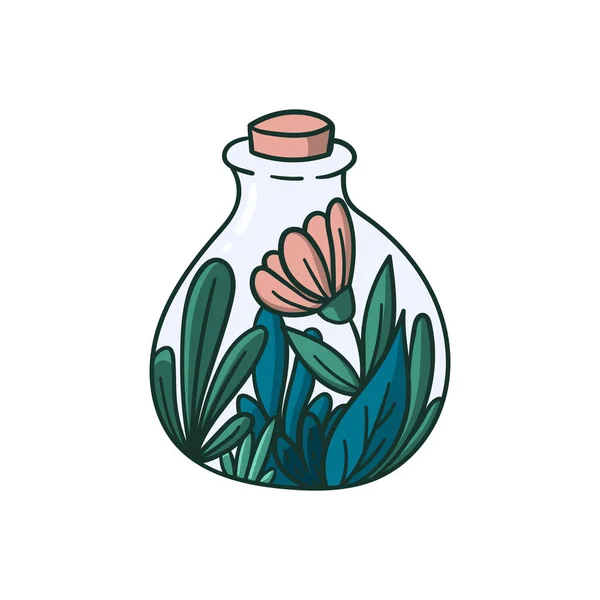 Plantas suculentas en una botella estilo garabato ilustración de concepto dibujado a mano para el logotipo, etiqueta, sello, pegatina . — Vector de stock