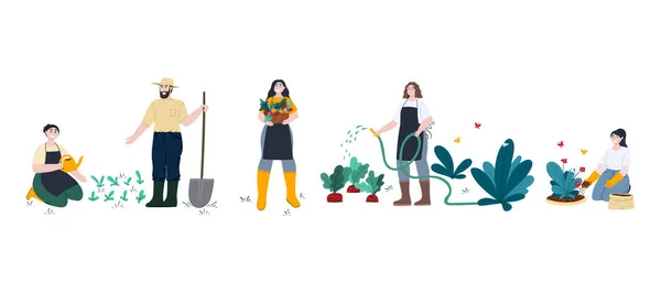 Lidé Pracují Zahradě Nebo Dvorku Farmaření Muži Ženy Sázejí Sazenice Stock Ilustrace