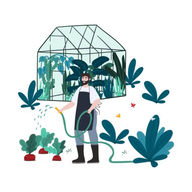 Adam bahçede çalışıyor, pancar salıyor. Bahçıvanlık. Arka bahçe ve sera. Bahar ve yaz zamanı. Stok vektörü