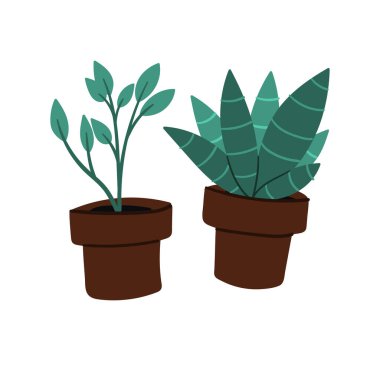 Download Indoor Shade Houseplant Free Vector Eps Cdr Ai Svg Vector Illustration Graphic Art