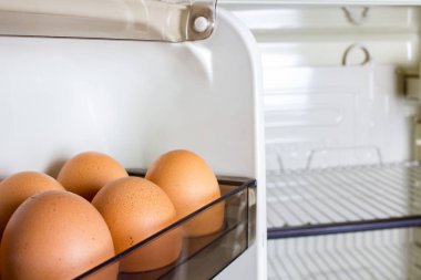 Buzdolabının içinde