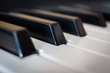 piyano klavye tuşları