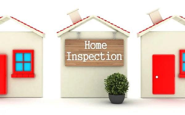 Home Inspection.3D illustration.3D rendering