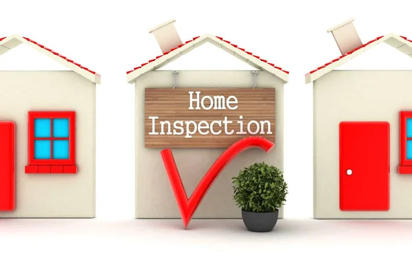 Ev Inspection.3d illustration.3d işleme