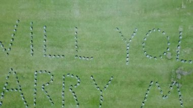 Yeşil çimenlikteki çiçeklerle evlenme teklifi, hava drone kuş bakışı bakışından görülüyor..