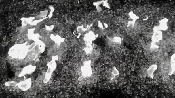 Llamas parpadeando en la fogata, vistas desde arriba, cámara lenta en blanco y negro — Vídeo de stock