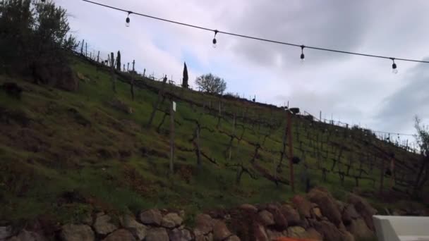 Viñedo en las colinas de las montañas de Malibú con luces al aire libre por encima, escenario — Vídeo de stock