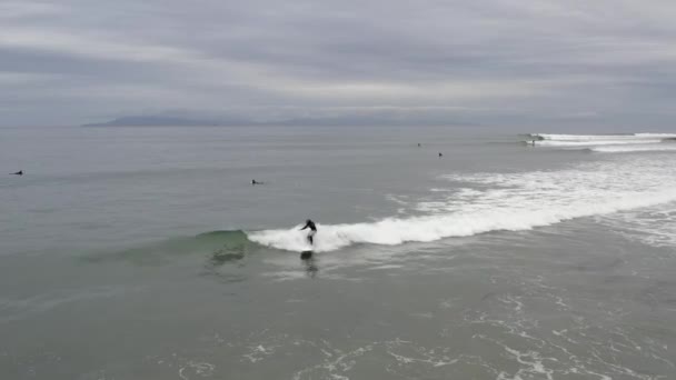 Widok z lotu ptaka na deskę surfingową na falach świetlnych w Ventura Beach — Wideo stockowe