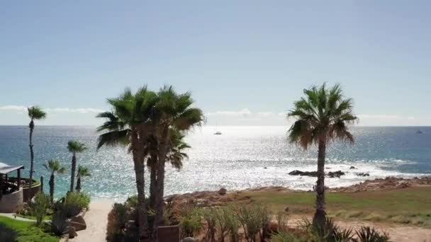 Luchtfoto, Cabo strand resort kustlijn oceaanzicht passeren dicht bij palmbomen — Stockvideo