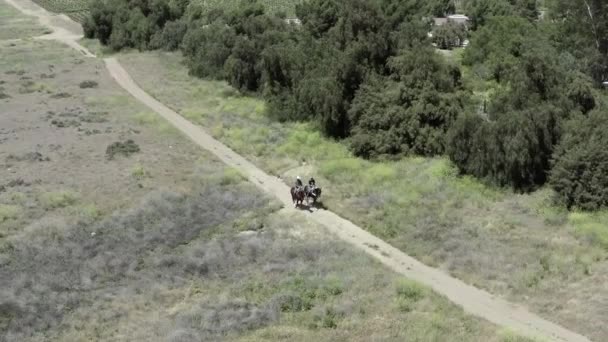 Caballos montando en pareja en verde Californian American Landscape, Drone Aerial View — Vídeo de stock