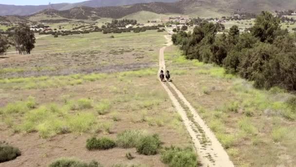 Dos jinetes a caballo caminando a lo largo de la pista de campo, retroceso aéreo — Vídeo de stock