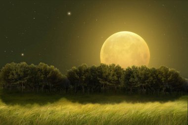 Ufukta büyük bir dolunay tarafından aydınlatılmış ağaçlarla dolu bir arazinin muhteşem gece manzarası. Fotoğraf manipülasyonu. Görüntü.