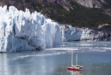 Glacier Bay keşfetmek