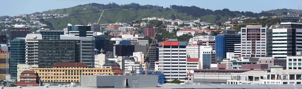 Wellington Downtown Panorama — Stock Photo, Image