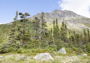 Alaskan dağlık manzara